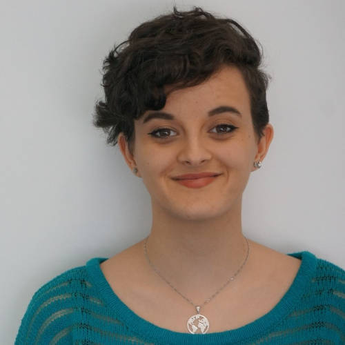 svg+xml;charset=utf itestra